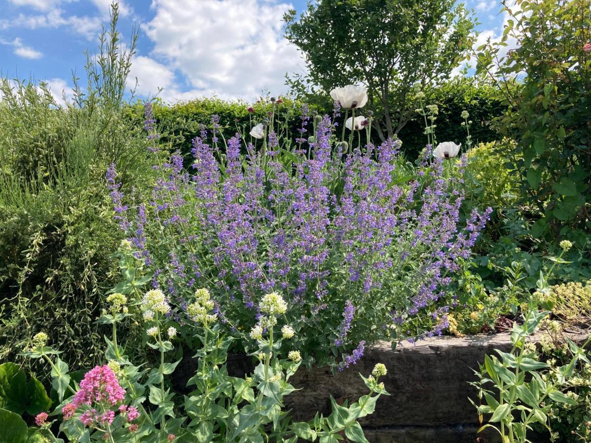 Slades Farm Bed and Breakfast Edington  Exteriör bild